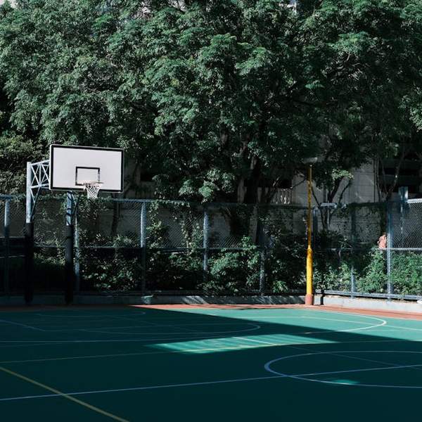 용인 로뎀파크, 자연과 함께하는 힐링의 공간: 위치와 매력 완벽 가이드